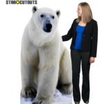 Polar Bear 'Arctic Theme' Large Cardboard Cutout / Standee - Image 4