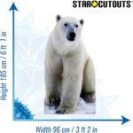 Polar Bear 'Arctic Theme' Large Cardboard Cutout / Standee - Image 3