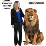 Adult Male Lion 'Sitting' Large + Mini Cardboard Cutout / Standee - Image 5