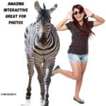 Adult Zebra Large + Mini Cardboard Cutout / Standee - Image 4