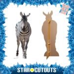 Adult Zebra Large + Mini Cardboard Cutout / Standee - Image 2