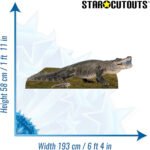 Fresh Water Alligator Large + Mini Cardboard Cutout / Standee - Image 3