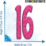 Pink Number 16 (Birthday) Large Cardboard Cutout / Standee - Image 3