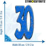 Blue Number 30 (Birthday/Anniversary) Large Cardboard Cutout / Standee - Image 3