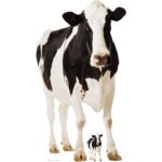 Cow Large + Mini Cardboard Cutout / Standee