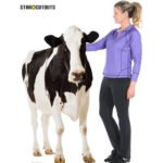 Cow Large + Mini Cardboard Cutout / Standee - Image 4