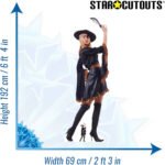 Female Pirate with Sword Lifesize + Mini Cardboard Cutout / Standee - Image 3