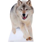 Wolf Small Cardboard Cutout / Standee
