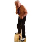 Morris 'Harry Landis' (Friday Night Dinner) Official Lifesize + Mini Cardboard Cutout / Standee