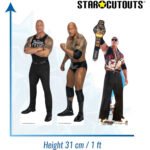 The Rock (WWE) Official Three Shelf Top Mini Cardboard Cutouts / Standees - Image 3