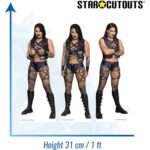 Rhea Ripley (WWE) Official Three Shelf Top Mini Cardboard Cutouts / Standees - Image 3