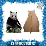 Giant Panda 'Eating' Large + Mini Cardboard Cutout / Standee - Image 2