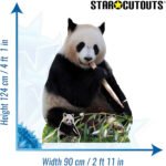 Giant Panda 'Eating' Large + Mini Cardboard Cutout / Standee - Image 3