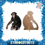 Chimpanzee 'Sitting' Lifesize + Mini Cardboard Cutout / Standee - Image 2