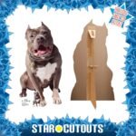 Number One 'Pet Pit Bull' (Star Trek: Picard) Official Lifesize + Mini Cardboard Cutout / Standee - Image 2