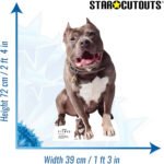 Number One 'Pet Pit Bull' (Star Trek: Picard) Official Lifesize + Mini Cardboard Cutout / Standee - Image 3