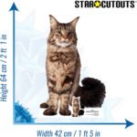Grudge 'Pet Cat' (Star Trek: Discovery) Official Lifesize + Mini Cardboard Cutout / Standee - Image 3