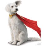 Krypto The Superdog (Superman 2025) Official Lifesize Cardboard Cutout / Standee