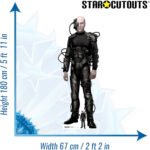Locutus of Borg (Star Trek: The Next Generation) Official Lifesize + Mini Cardboard Cutout / Standee - Image 3