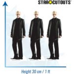 Draco Malfoy (Harry Potter) Official Three Shelf Top Mini Cardboard Cutouts / Standees - Image 3