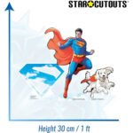 Superman, Logo & Krypto The Superdog 'Cartoon Style' Official Three Shelf Top Mini Cardboard Cutouts / Standees - Image 3