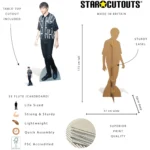 Louis Tomlinson (English Singer/Songwriter) Lifesize + Mini Cardboard Cutout / Standee - Image 5