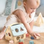 Speedy Monkey Wooden House Shape Sorter - Image 2