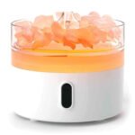 Ancient Wisdom Himalayan Salt Night Light Flame Effect Aroma Diffuser