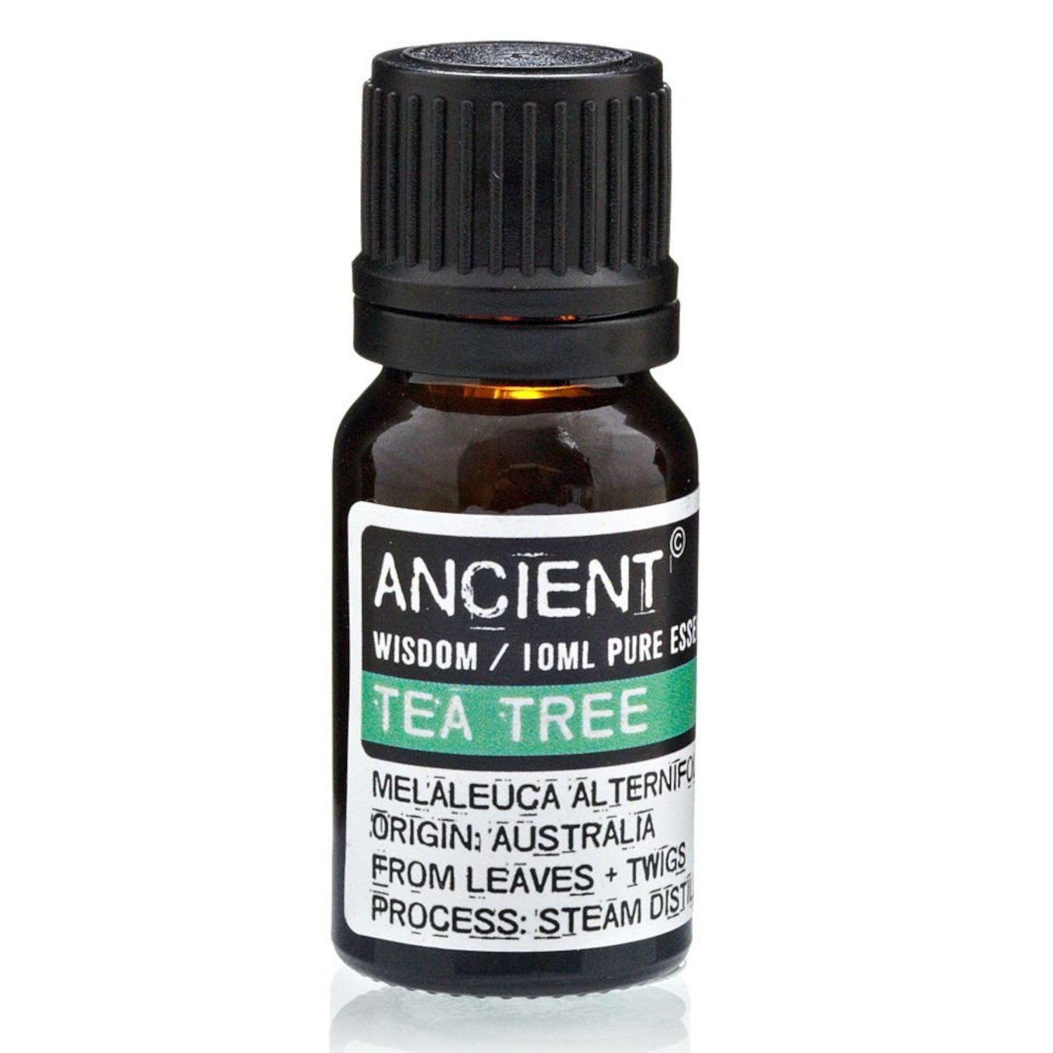 EO-02 Ancient Wisdom Tea Tree 10ml Pure Essential Oil Ancient Wisdom Tea Tree 10ml Pure Essential Oil - Image 1