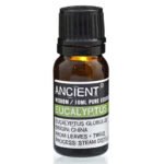 Ancient Wisdom Eucalyptus 10ml Pure Essential Oil