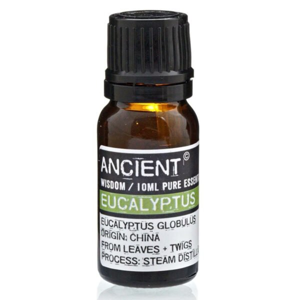 Ancient Wisdom Eucalyptus 10ml Pure Essential Oil