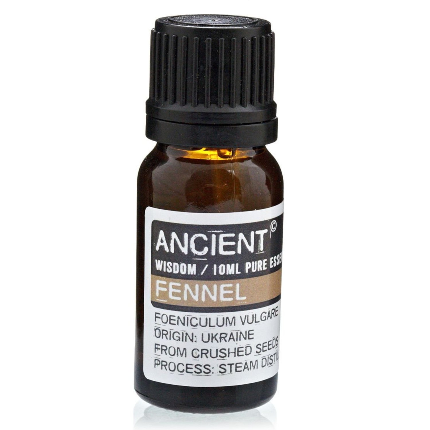 EO-16 Ancient Wisdom Fennel 10ml Pure Essential Oil Ancient Wisdom Fennel 10ml Pure Essential Oil - Image 1
