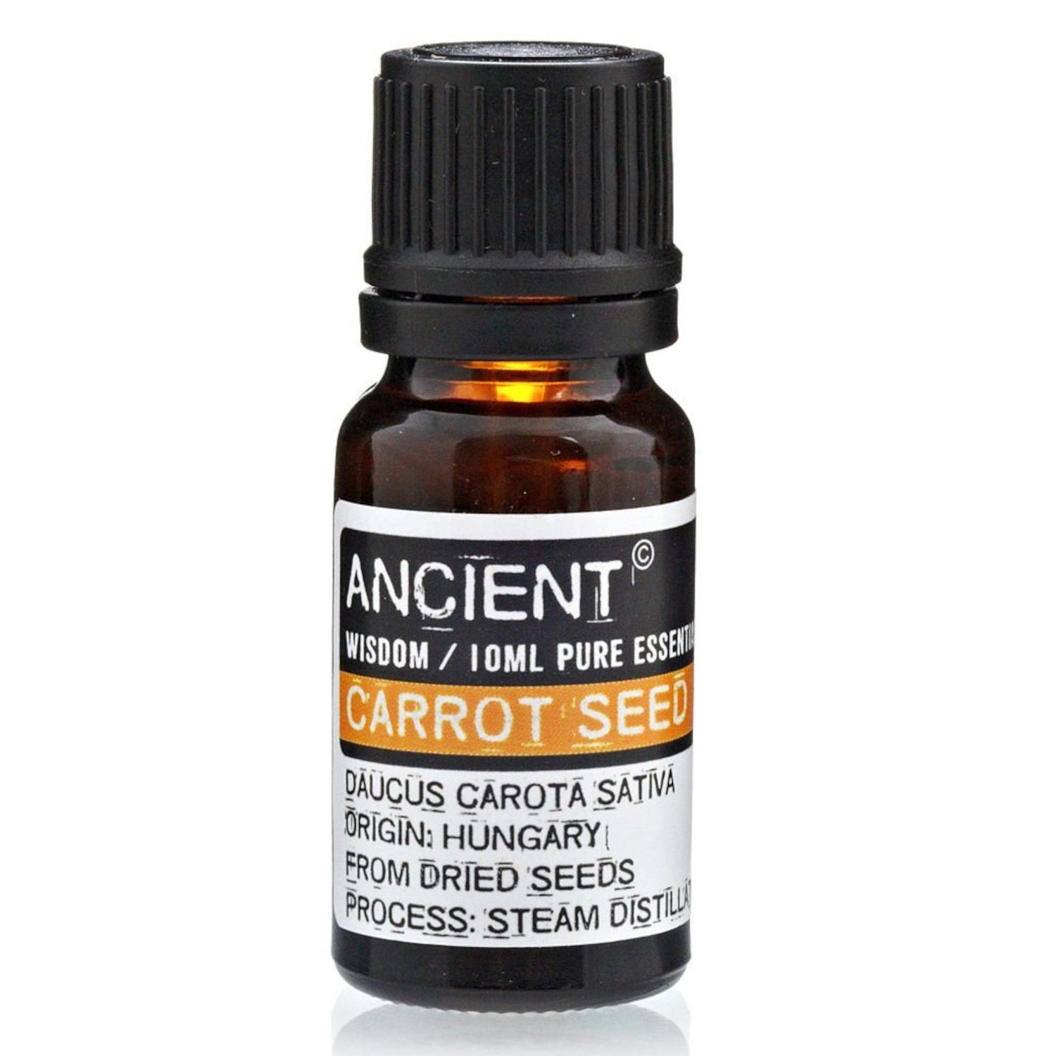 EO-55 Ancient Wisdom Carrot Seed 10ml Pure Essential Oil Ancient Wisdom Carrot Seed 10ml Pure Essential Oil - Image 1