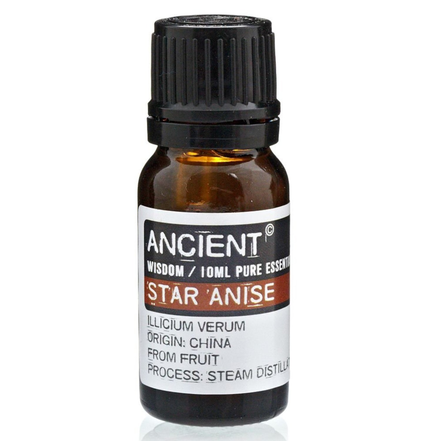 EO-60 Ancient Wisdom Aniseed China Star (Star Anise) 10ml Pure Essential Oil Ancient Wisdom Aniseed China Star (Star Anise) 10ml Pure Essential Oil - Image 1