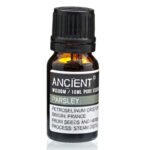 Ancient Wisdom Parsley 10ml Pure Essential Oil