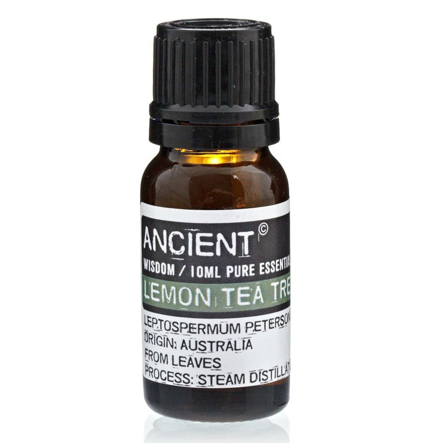 EO-72 Ancient Wisdom Lemon Tea Tree 10ml Pure Essential Oil Ancient Wisdom Lemon Tea Tree 10ml Pure Essential Oil - Image 1
