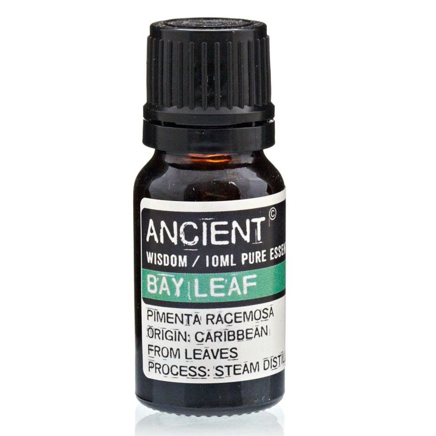 EO-73 Ancient Wisdom Bay Leaf 10ml Pure Essential Oil Ancient Wisdom Bay Leaf 10ml Pure Essential Oil - Image 1