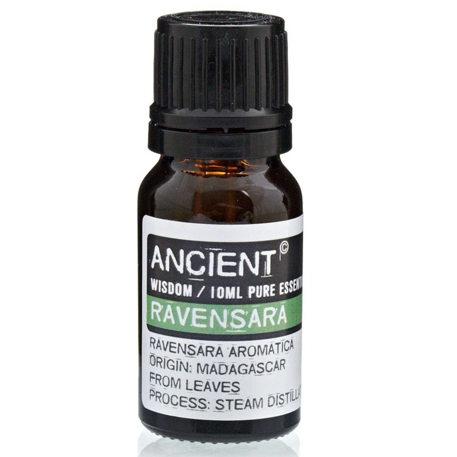EO-74 Ancient Wisdom Ravensara 10ml Pure Essential Oil Ancient Wisdom Ravensara 10ml Pure Essential Oil - Image 1