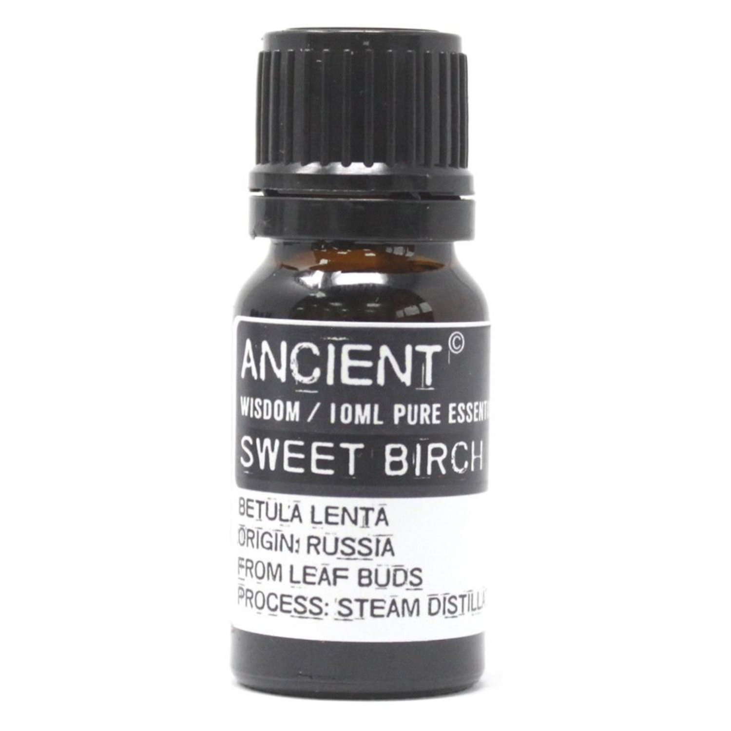 EO-76 Ancient Wisdom Sweet Birch 10ml Pure Essential Oil Ancient Wisdom Sweet Birch 10ml Pure Essential Oil - Image 1