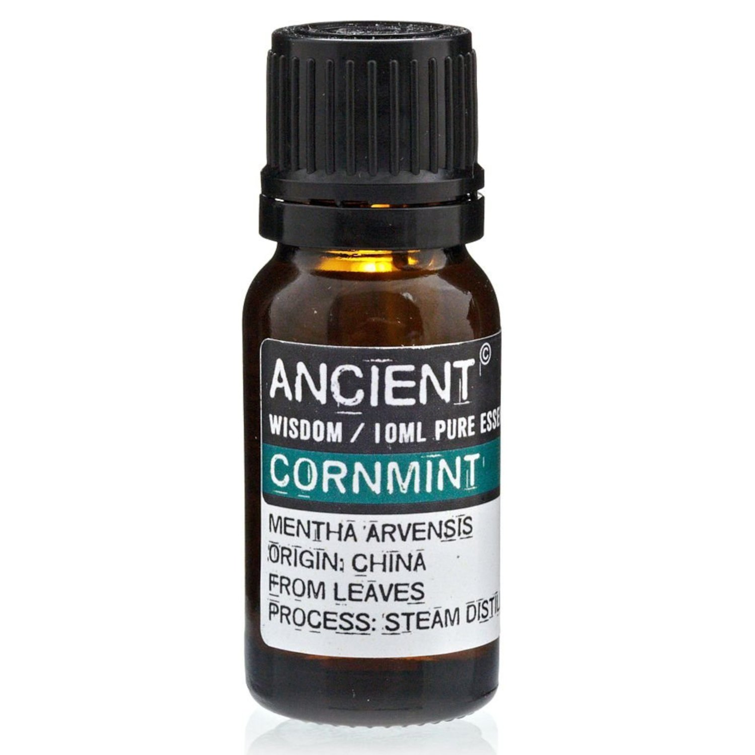 EO-83 Ancient Wisdom Cornmint 10ml Pure Essential Oil Ancient Wisdom Cornmint 10ml Pure Essential Oil - Image 1