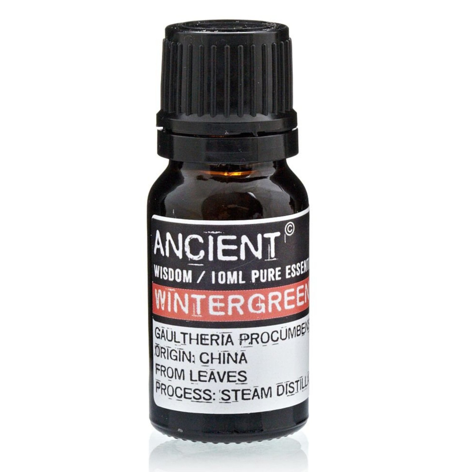 EO-87 Ancient Wisdom Wintergreen 10ml Pure Essential Oil Ancient Wisdom Wintergreen 10ml Pure Essential Oil - Image 1