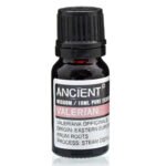Ancient Wisdom Valerian 10ml Pure Essential Oil