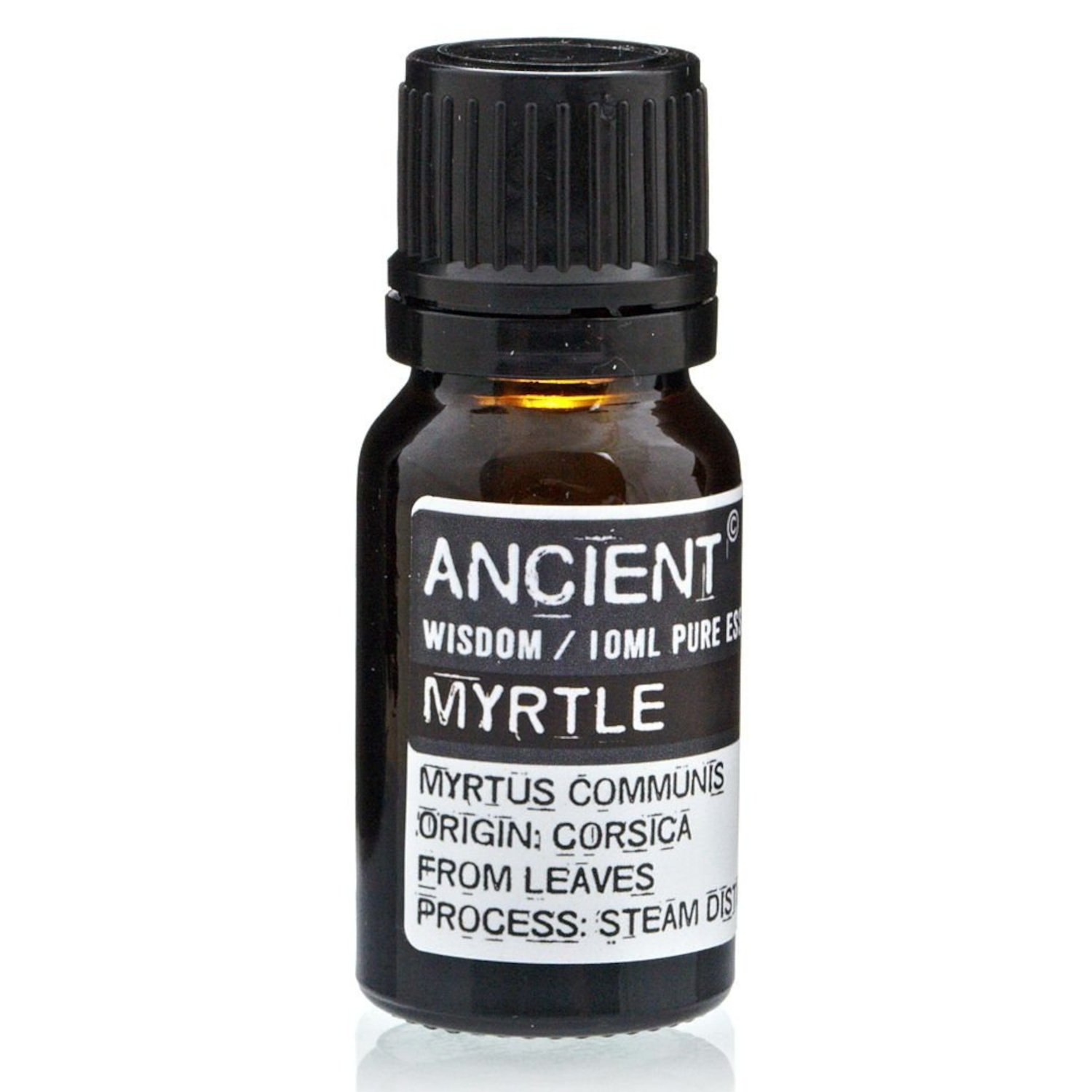 EO-95 Ancient Wisdom Myrtle 10ml Pure Essential Oil Ancient Wisdom Myrtle 10ml Pure Essential Oil - Image 1