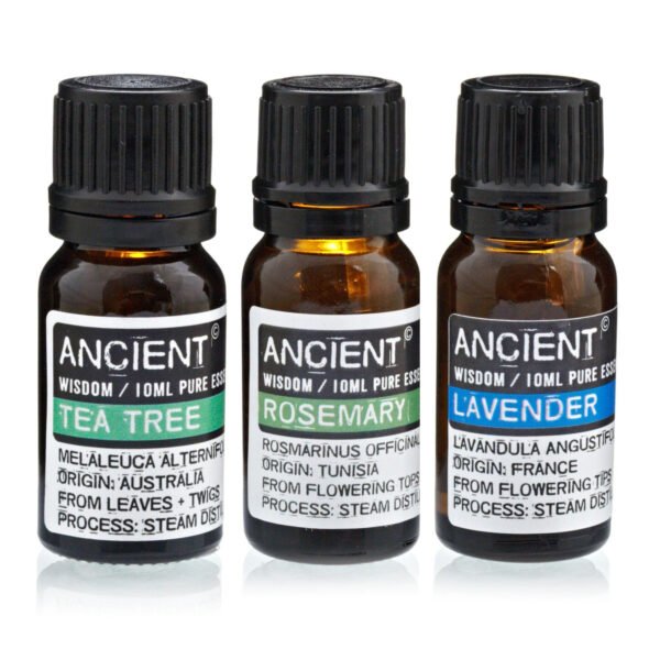 Ancient Wisdom Set of Lavender, Tea Tree & Rosemary 10ml Essential Oils