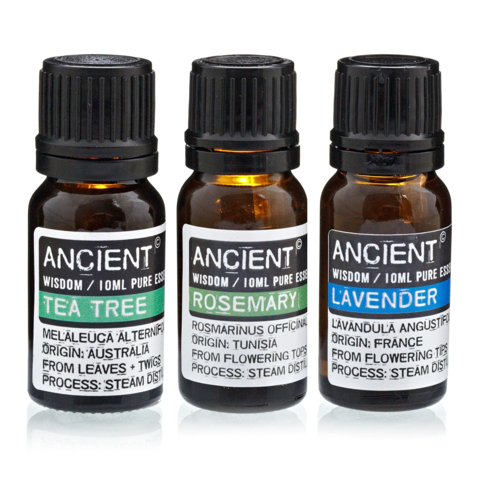 EOBND-01 Ancient Wisdom Set of Lavender, Tea Tree & Rosemary 10ml Essential Oils Ancient Wisdom Set of Lavender, Tea Tree & Rosemary 10ml Essential Oils - Image 1