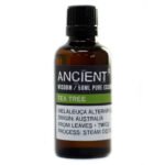 Ancient Wisdom Tea Tree 50ml Pure Essential Oil