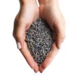Ancient Wisdom Dried Lavender Flowers (1kg) - Image 3