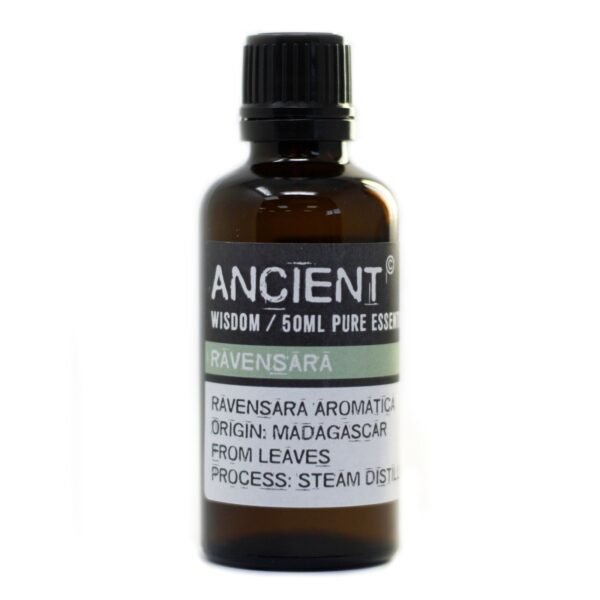 Ancient Wisdom Ravensara 50ml Pure Essential Oil