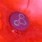 Ancient Wisdom Set of Zodiac Bath Fizzers with Horoscope - Aries - Image 3