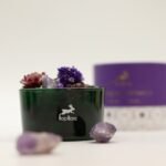 Hop Hare The Moon Diffusing Crystals & Floral Set - Image 2